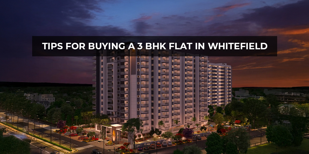 Tips for Buying a 3 BHK Apartment in Whitefield